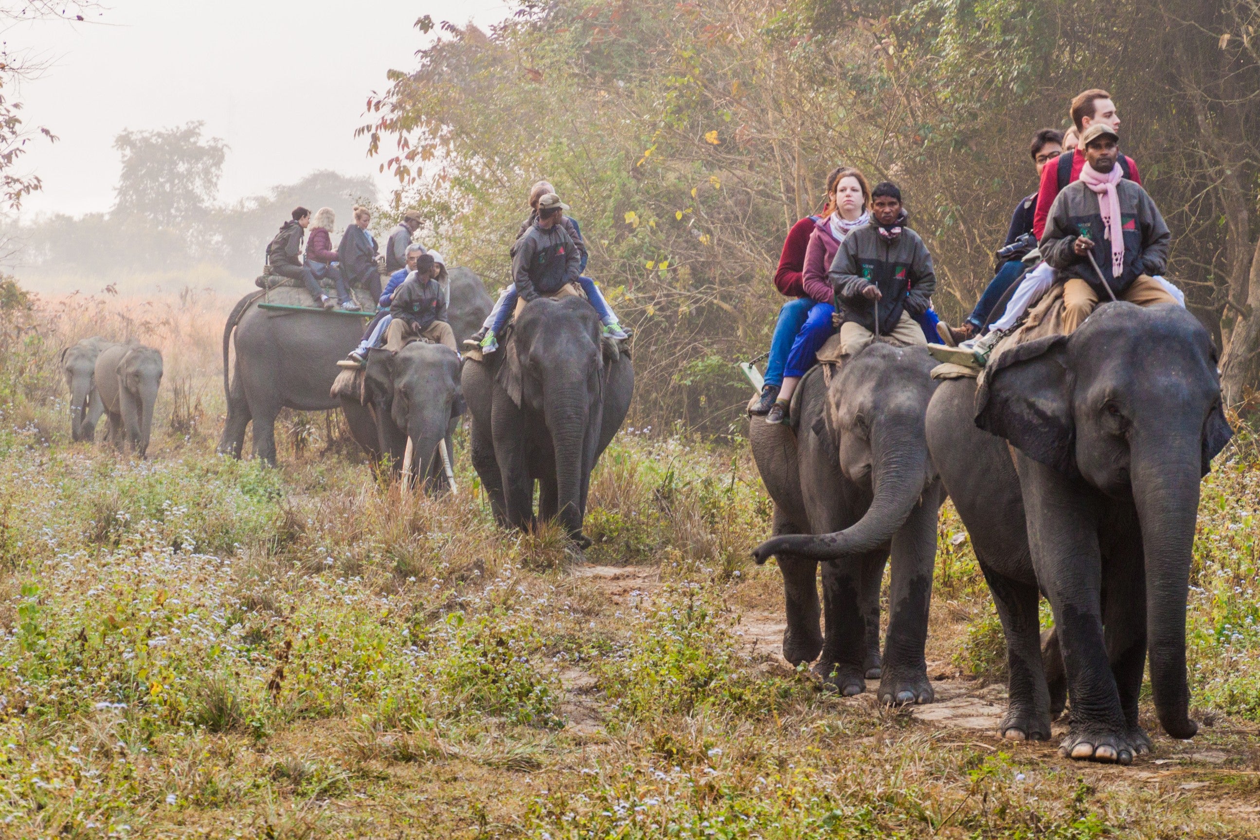 Kaziranga 3D Wildlife Safari